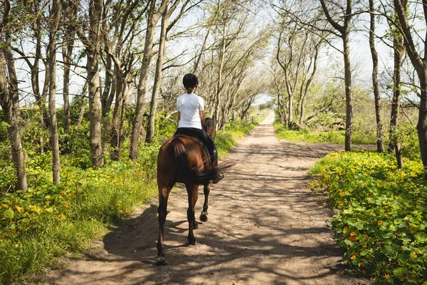 Rear View Casually Dressed Caucasian Female Rider Hacking Chestnut Horse — Stock Photo, Image