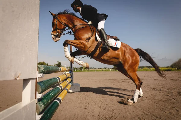 Vista Lateral Homem Americano Africano Inteligentemente Vestido Montando Seu Cavalo — Fotografia de Stock