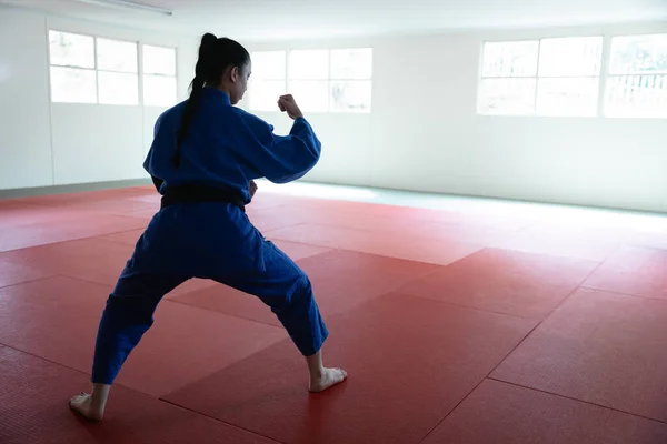 Rear View Teenage Mixed Race Female Judoka Wearing Blue Judogi — Stock Photo, Image