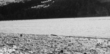 park ve kentin yürümek