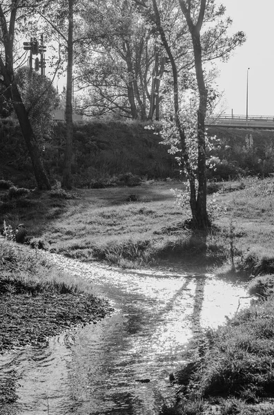 Spaziergang Park Und Der Stadt — Stockfoto