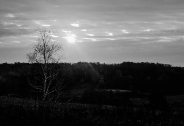 Orman yürüyüşleri ve manzaralar