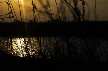 görünümü güzel günbatımı nehirde