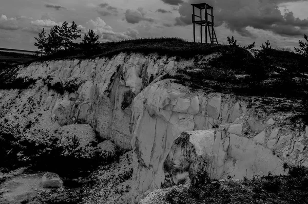 Marcher Travers Les Bois Les Espaces Ouverts — Photo