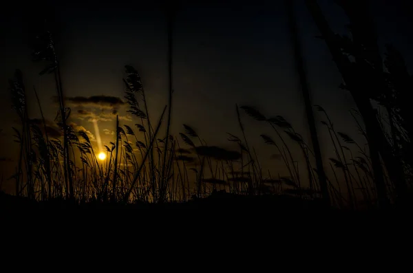 Річка Заході Сонця Вид Прекрасний — стокове фото