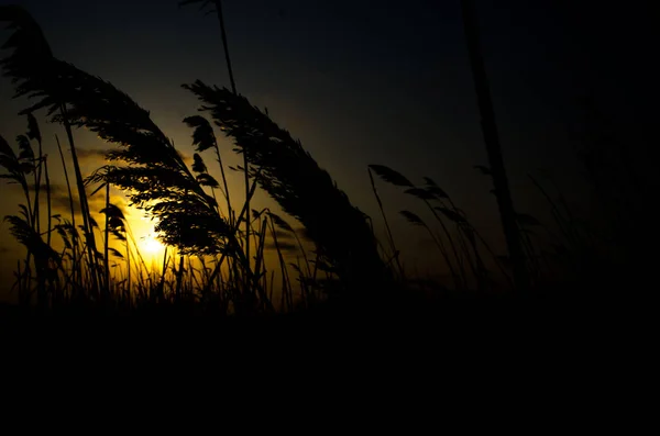 Río Atardecer Vista Hermosa —  Fotos de Stock