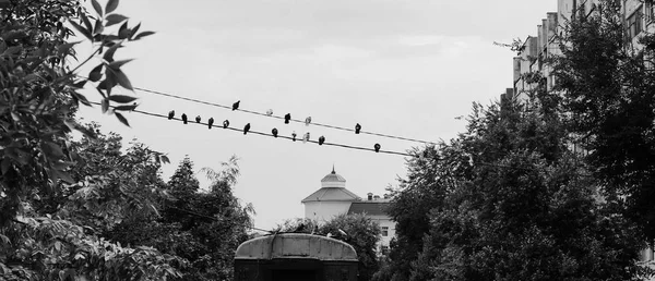 公園や街の中を歩く — ストック写真