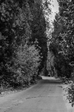 park ve kentin yürümek