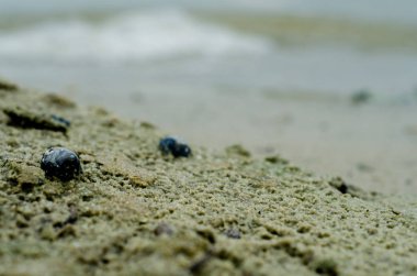 park ve kentin yürümek