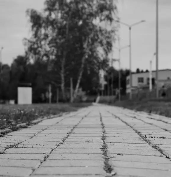 Caminhar Parque Cidade — Fotografia de Stock