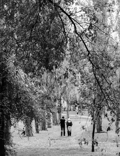 Βόλτα Στο Πάρκο Και Την Πόλη — Φωτογραφία Αρχείου