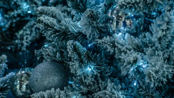 Снег Рождественских Деревьях Стоковое Фото