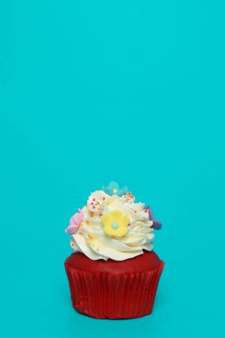 Doğum günü pastası üzerinde arka plan rengini