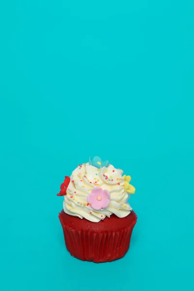 Birthday Cake Color Background — Stock Photo, Image