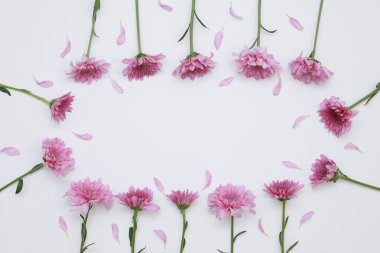 Çiçek desen üstten görünüm renk kağıt üzerinde arka planı için