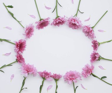 Çiçek desen üstten görünüm renk kağıt üzerinde arka planı için