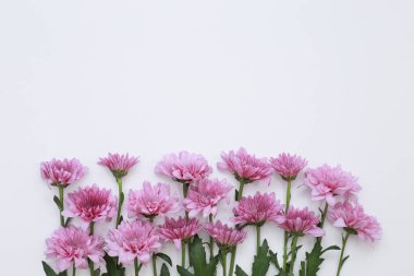 Çiçek desen üstten görünüm renk kağıt üzerinde arka planı için