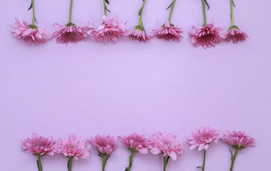 Çiçek desen üstten görünüm renk kağıt üzerinde arka planı için