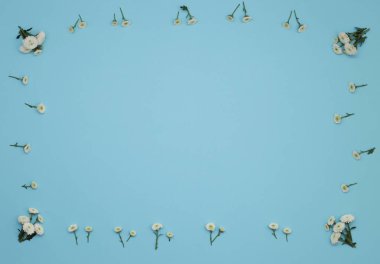 Çiçek desen üstten görünüm renk kağıt üzerinde arka planı için