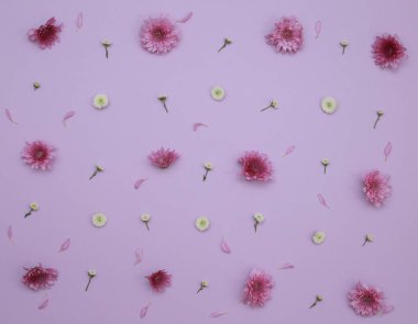 Çiçek desen üstten görünüm renk kağıt üzerinde arka planı için