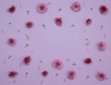 Çiçek desen üstten görünüm renk kağıt üzerinde arka planı için