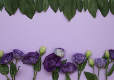 Çiçek desen üstten görünüm renk kağıt üzerinde arka planı için