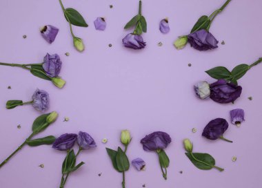 Çiçek desen üstten görünüm renk kağıt üzerinde arka planı için