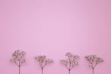 Çiçek desen üstten görünüm renk kağıt üzerinde arka planı için