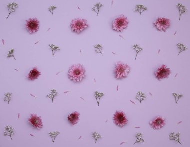 Çiçek desen üstten görünüm renk kağıt üzerinde arka planı için