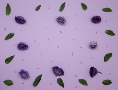 Çiçek desen üstten görünüm renk kağıt üzerinde arka planı için