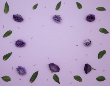 Çiçek desen üstten görünüm renk kağıt üzerinde arka planı için