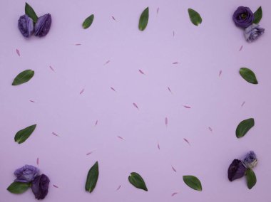 Çiçek desen üstten görünüm renk kağıt üzerinde arka planı için