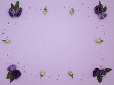 Çiçek desen üstten görünüm renk kağıt üzerinde arka planı için
