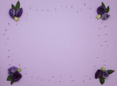 Çiçek desen üstten görünüm renk kağıt üzerinde arka planı için