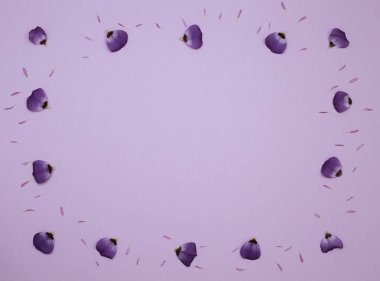 Çiçek desen üstten görünüm renk kağıt üzerinde arka planı için