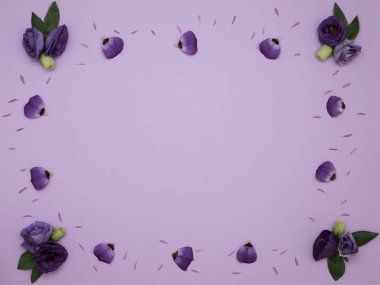 Çiçek desen üstten görünüm renk kağıt üzerinde arka planı için