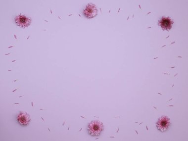 Çiçek desen üstten görünüm renk kağıt üzerinde arka planı için