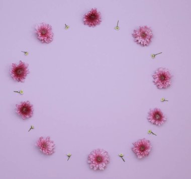 Çiçek desen üstten görünüm renk kağıt üzerinde arka planı için