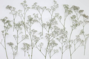 Çiçek desen üstten görünüm renk kağıt üzerinde arka planı için