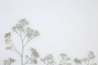 Çiçek desen üstten görünüm renk kağıt üzerinde arka planı için