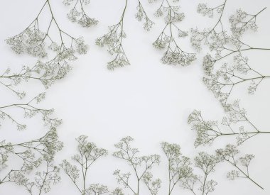 Çiçek desen üstten görünüm renk kağıt üzerinde arka planı için