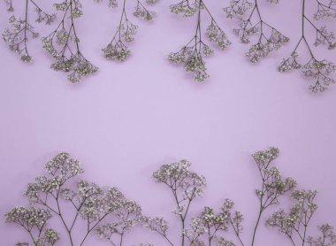 Çiçek desen üstten görünüm renk kağıt üzerinde arka planı için