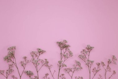 Çiçek desen üstten görünüm renk kağıt üzerinde arka planı için