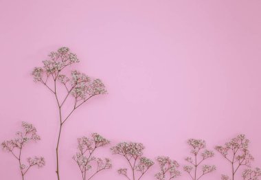 Çiçek desen üstten görünüm renk kağıt üzerinde arka planı için