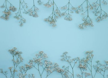 Çiçek desen üstten görünüm renk kağıt üzerinde arka planı için