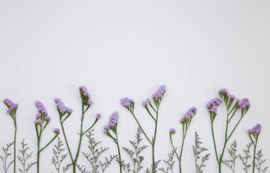 Çiçek desen üstten görünüm renk kağıt üzerinde arka planı için