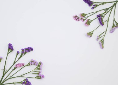 Çiçek desen üstten görünüm renk kağıt üzerinde arka planı için