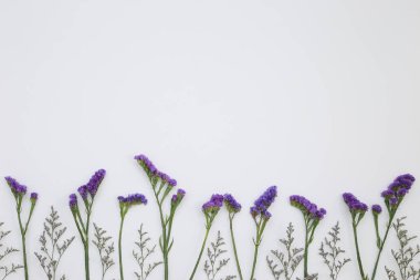 Çiçek desen üstten görünüm renk kağıt üzerinde arka planı için