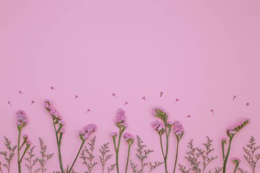 Çiçek desen üstten görünüm renk kağıt üzerinde arka planı için