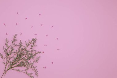 Çiçek desen üstten görünüm renk kağıt üzerinde arka planı için